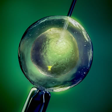 Fertilização In Vitro